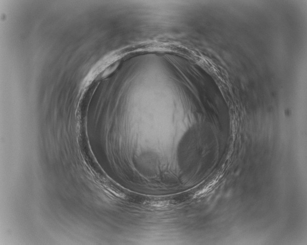 X0000059040295200510281549