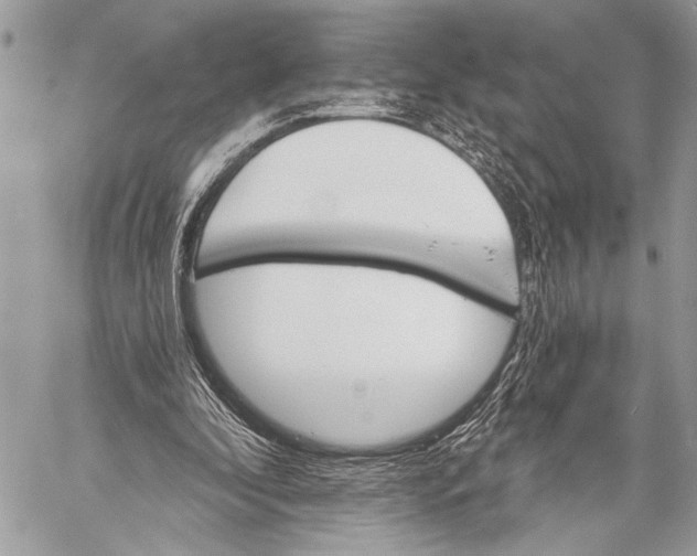 X0000059040296200510281549