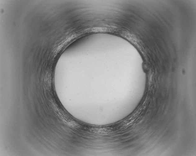 X0000059040297200510281549