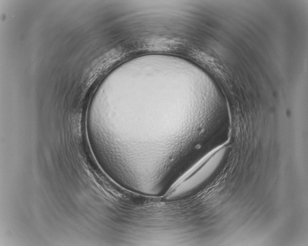 X0000059040299200510281549