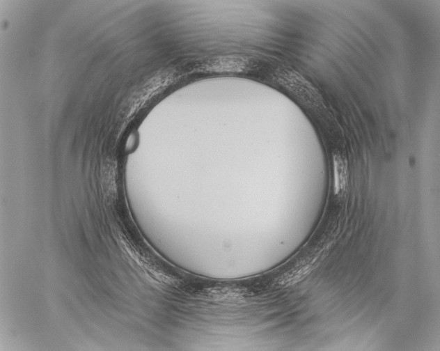 X0000059040300200510281549