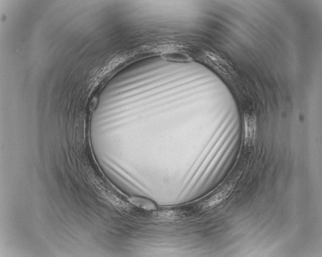 X0000059040301200510281549