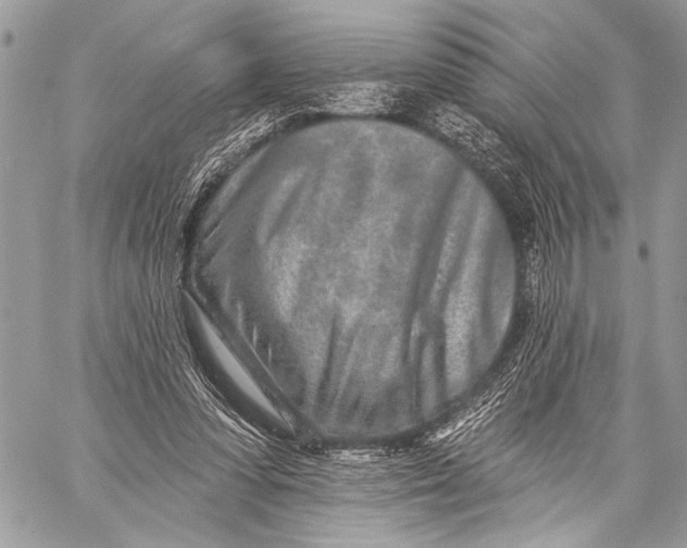 X0000059040303200510281549