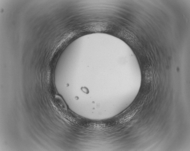 X0000059040304200510281549