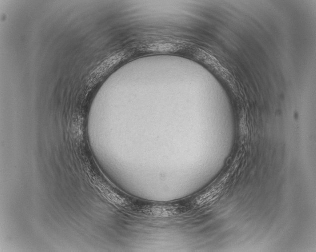 X0000059040305200510281549