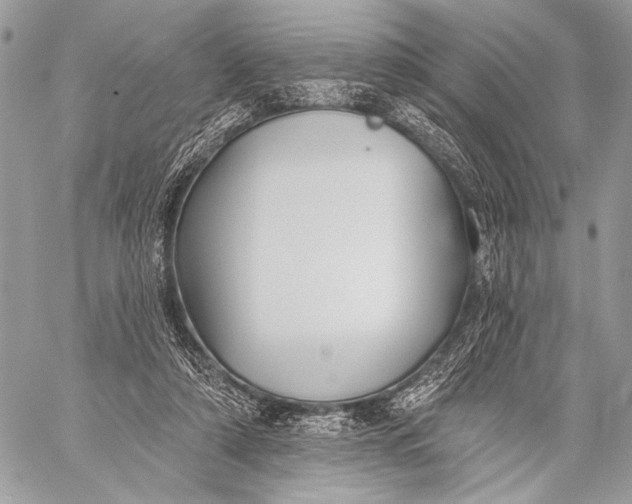 X0000059040306200510281549