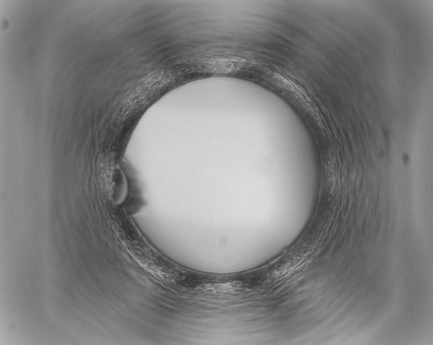 X0000059040307200510281549