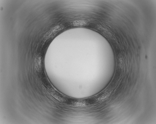 X0000059040308200510281549