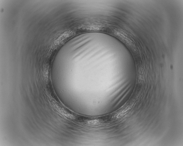 X0000059040309200510281549