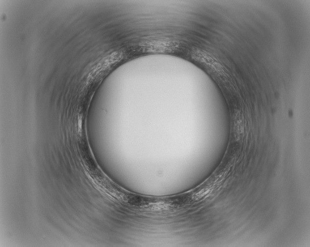 X0000059040310200510281549