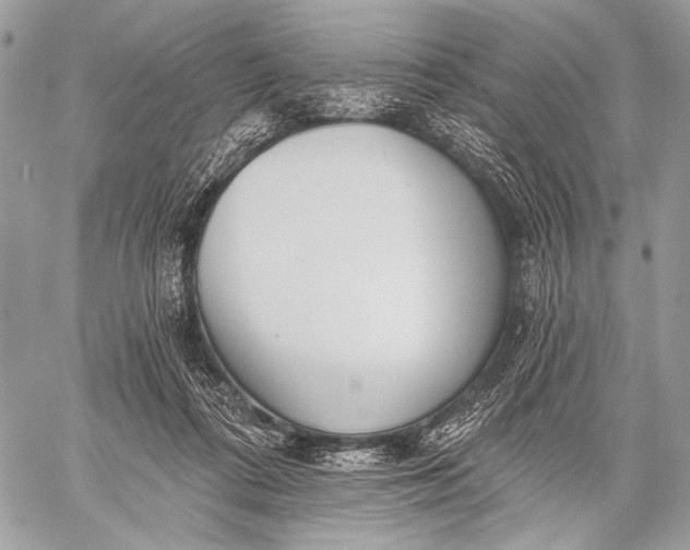 X0000059040312200510281549