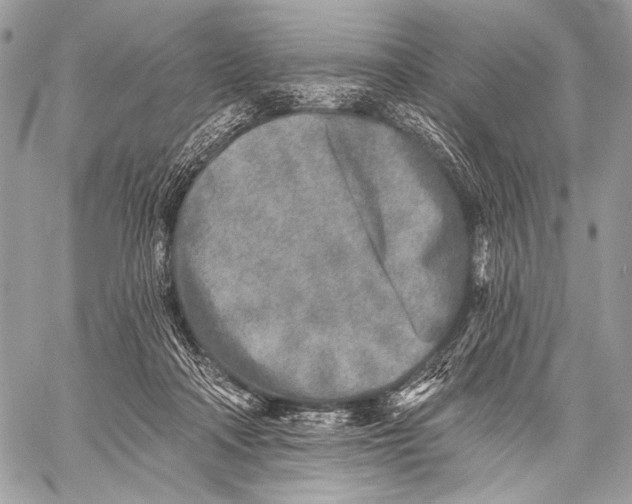 X0000059040314200510281549