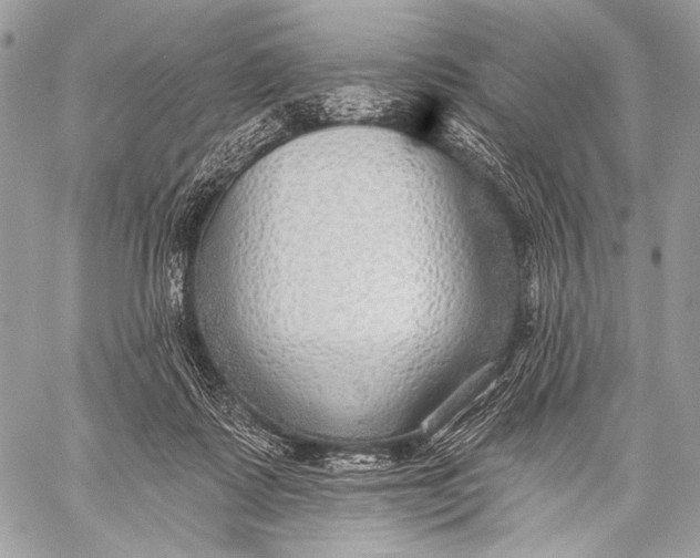 X0000059040315200510281549