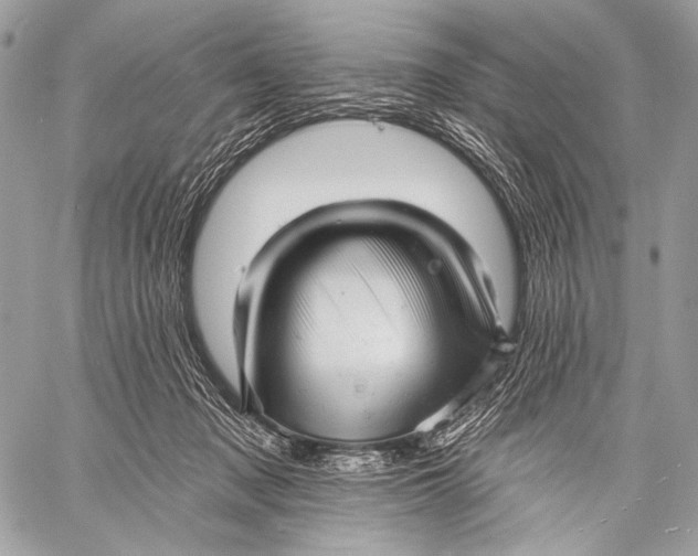 X0000059040317200510281549