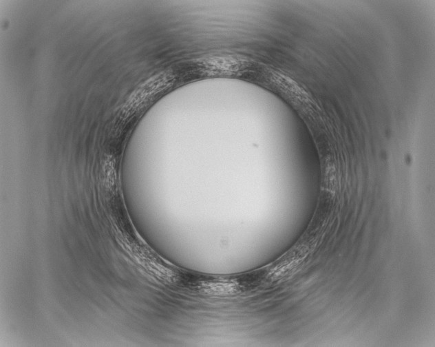 X0000059040318200510281549