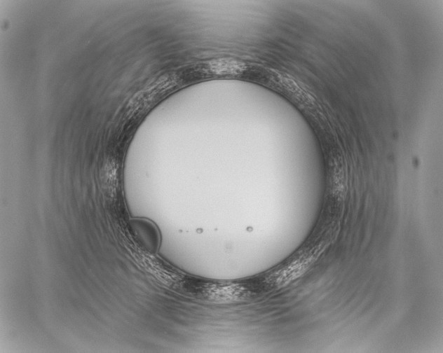 X0000059040321200510281548