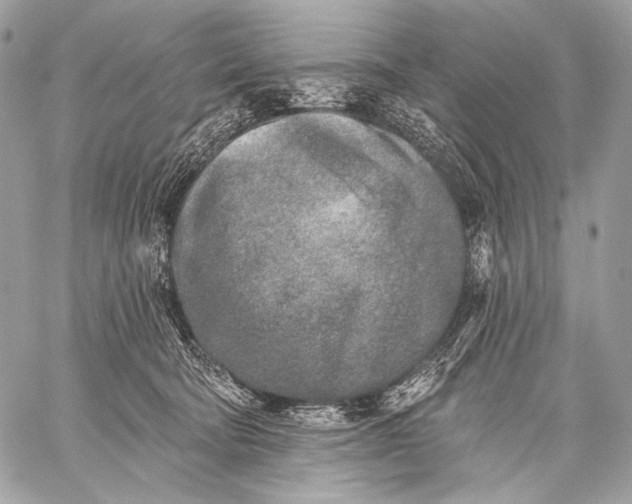 X0000059040322200510281548