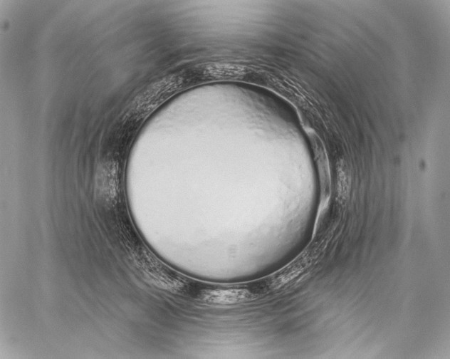 X0000059040323200510281548