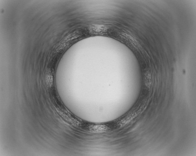 X0000059040324200510281548