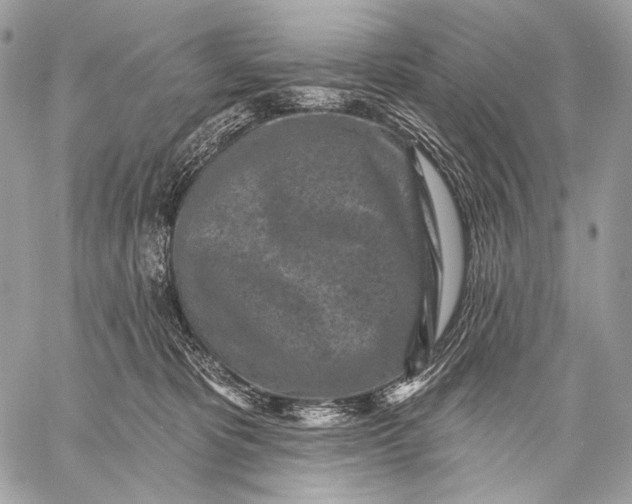 X0000059040325200510281548