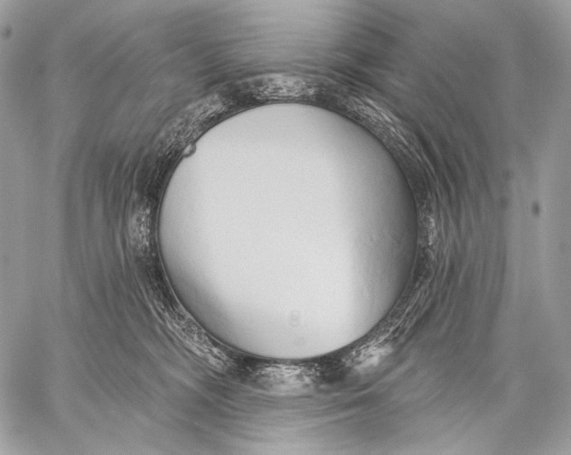 X0000059040326200510281548