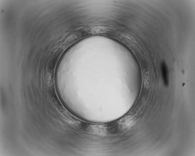 X0000059040327200510281548