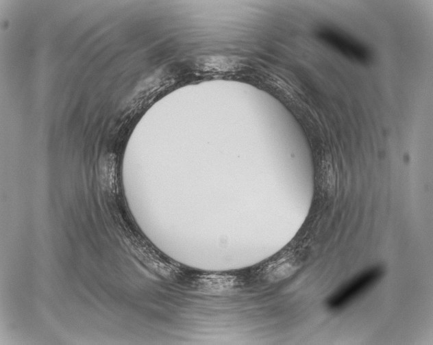 X0000059040328200510281548