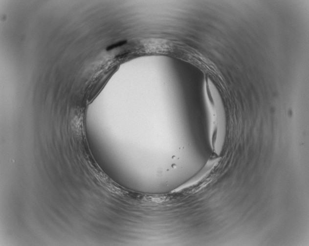 X0000059040329200510281548