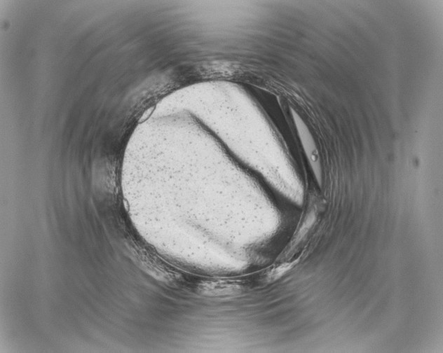 X0000059040331200510281548