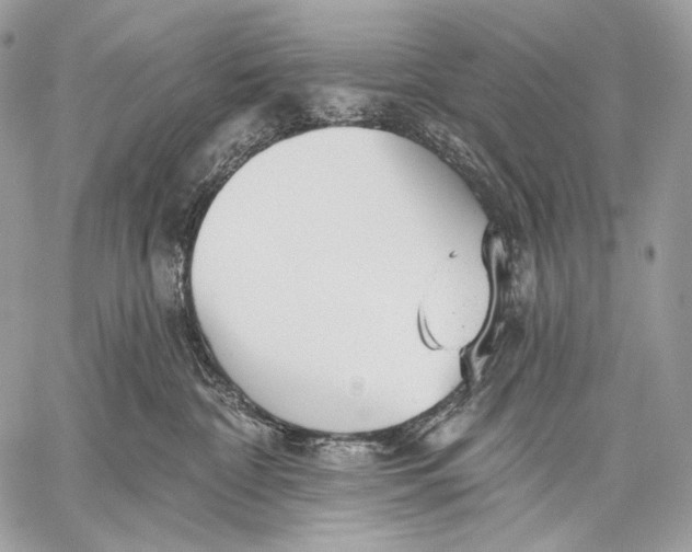 X0000059040332200510281548