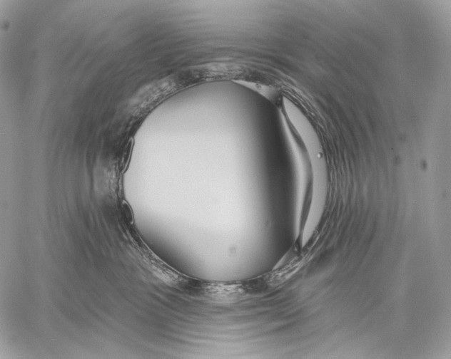 X0000059040333200510281548