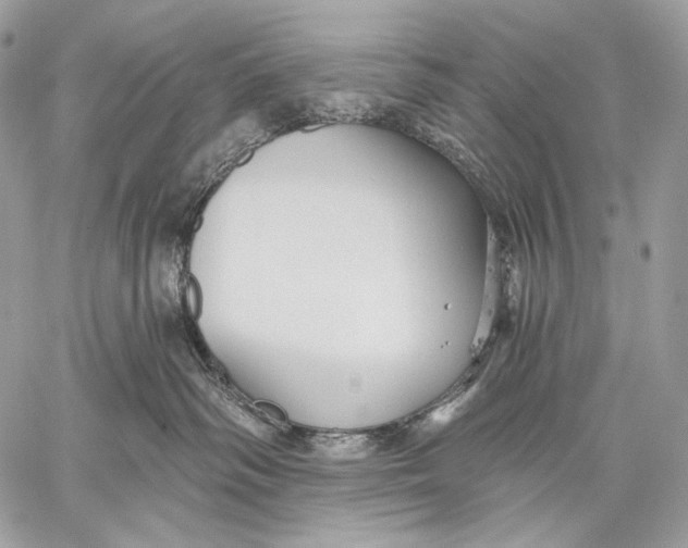 X0000059040334200510281548