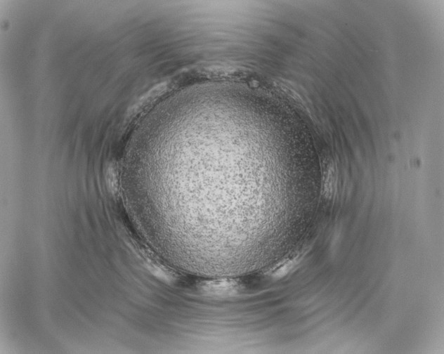 X0000059040335200510281548