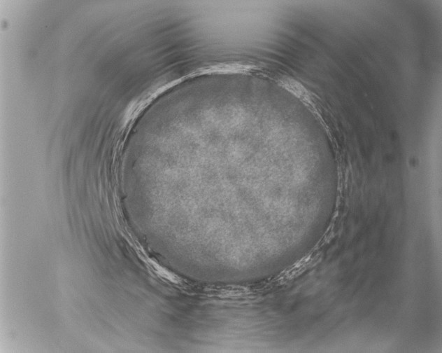 X0000059040337200510281547