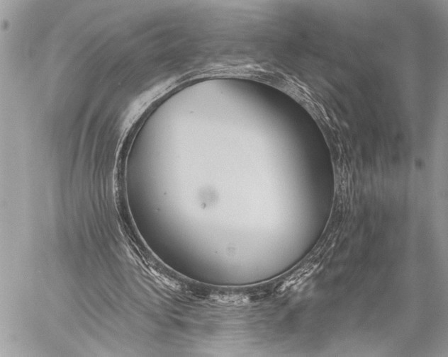 X0000059040340200510281547