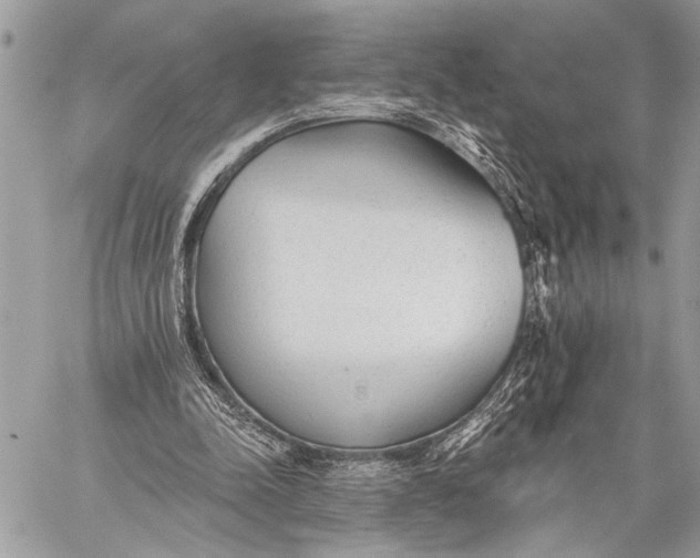 X0000059040342200510281548