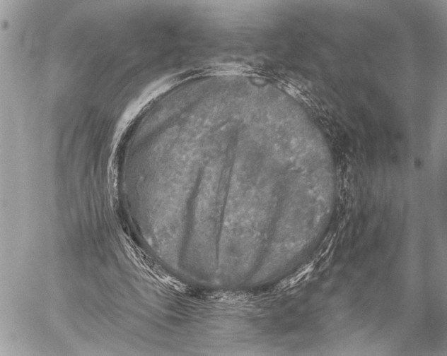 X0000059040343200510281548