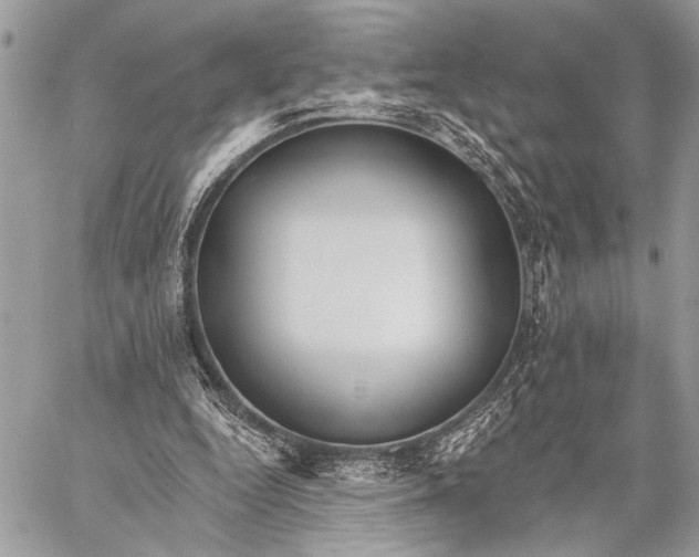 X0000059040344200510281548