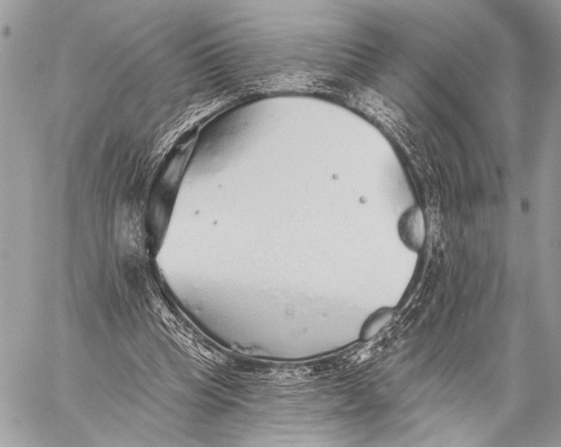 X0000059040345200510281548