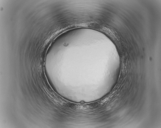 X0000059040346200510281548