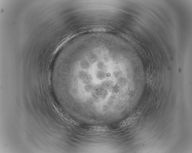 X0000059040347200510281548