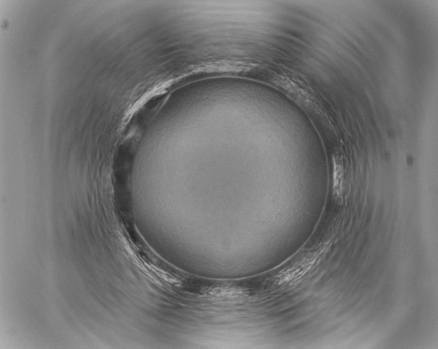 X0000059040348200510281548