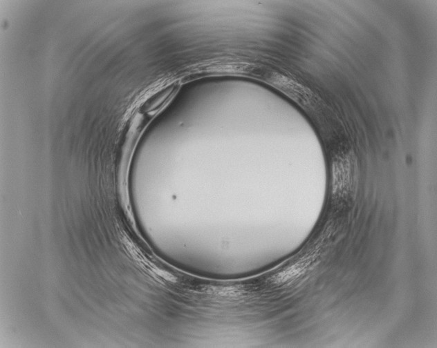 X0000059040349200510281548