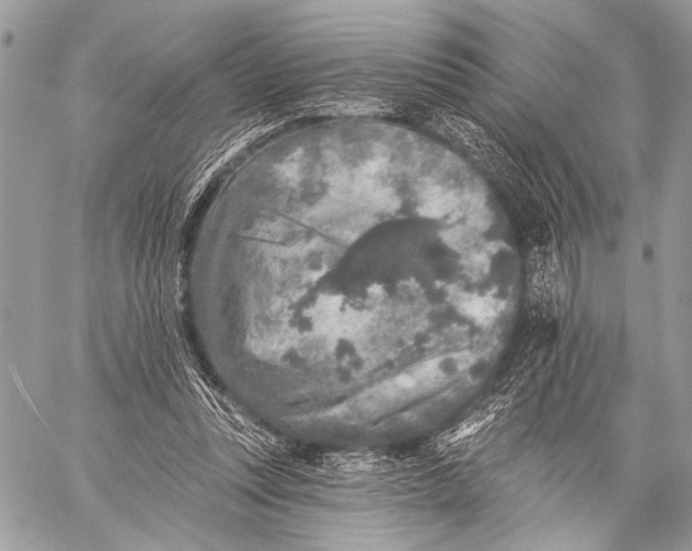 X0000059040351200510281548