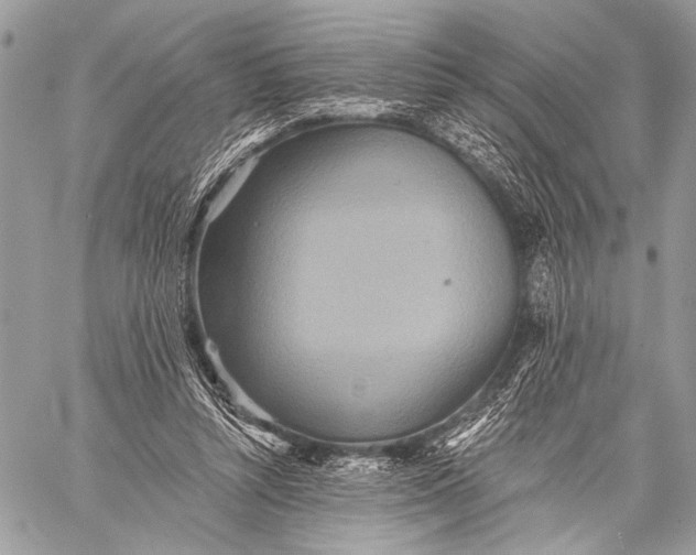 X0000059040352200510281548