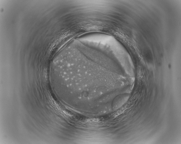 X0000059040353200510281548