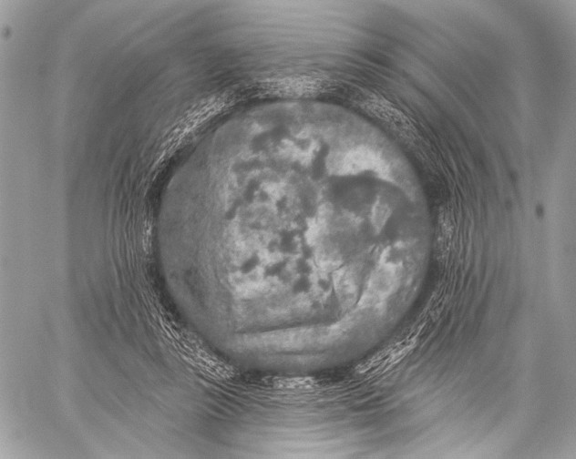 X0000059040355200510281548