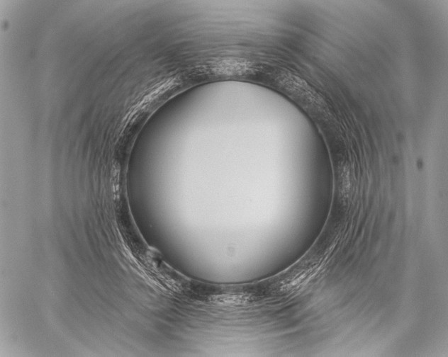 X0000059040356200510281548