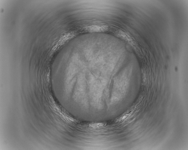 X0000059040357200510281548