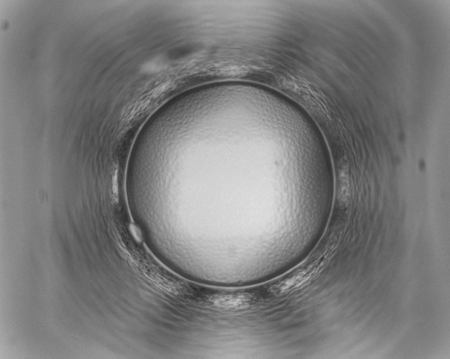 X0000059040358200510281548